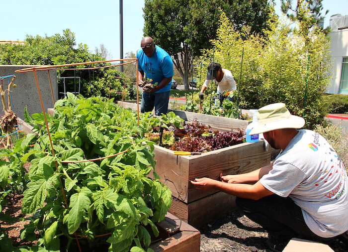 Gafcon Garden(1)